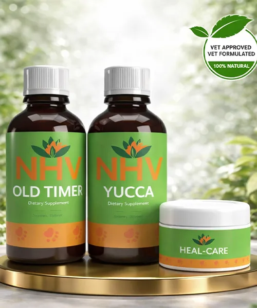 NHV Winter Health Kit